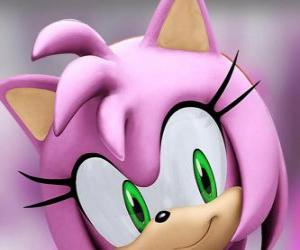 пазл Эми Роуз является розовый ежа с зелеными глазами, безумно влюблен в Sonic